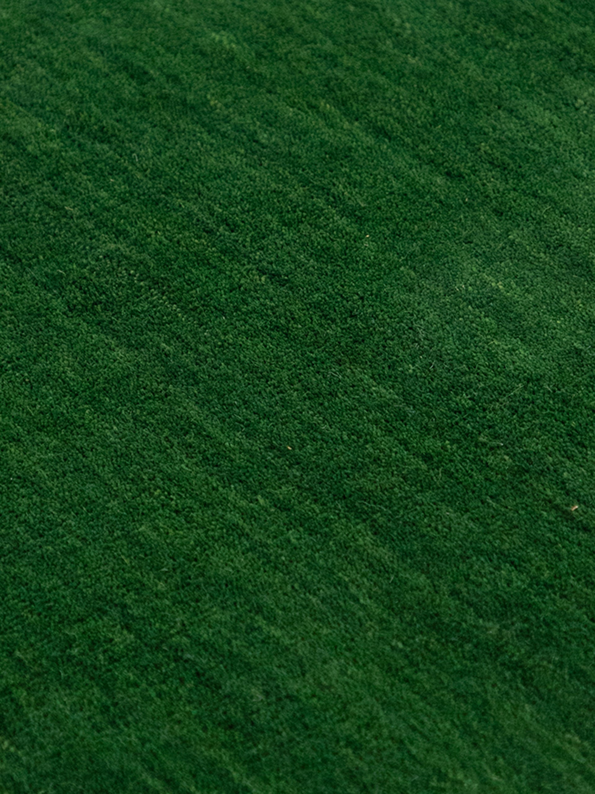 Wollteppich Gabbeh Uni Quadratisch Grün in grün aus wolle